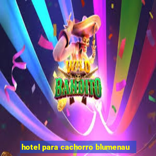 hotel para cachorro blumenau